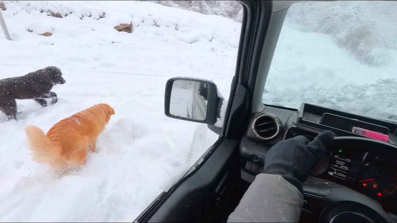 POV Checking the Jimny & Clearing Snow | Raw, Minimal Talking