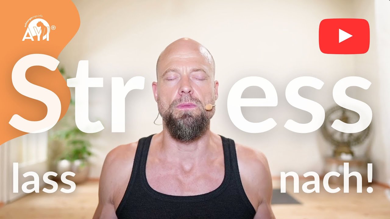 50min Yoga | So balancierst Du Deinen Stress | Dr. Ronald Steiner | The Yoga Doc