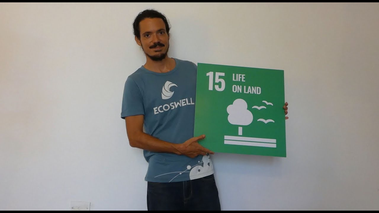 SDG 15: Life on land - Diego Almendrades