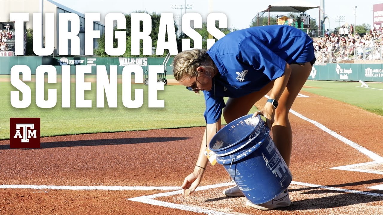 Turfgrass Science | Texas A&M Students help prepare Olsen Field for Postseason Play