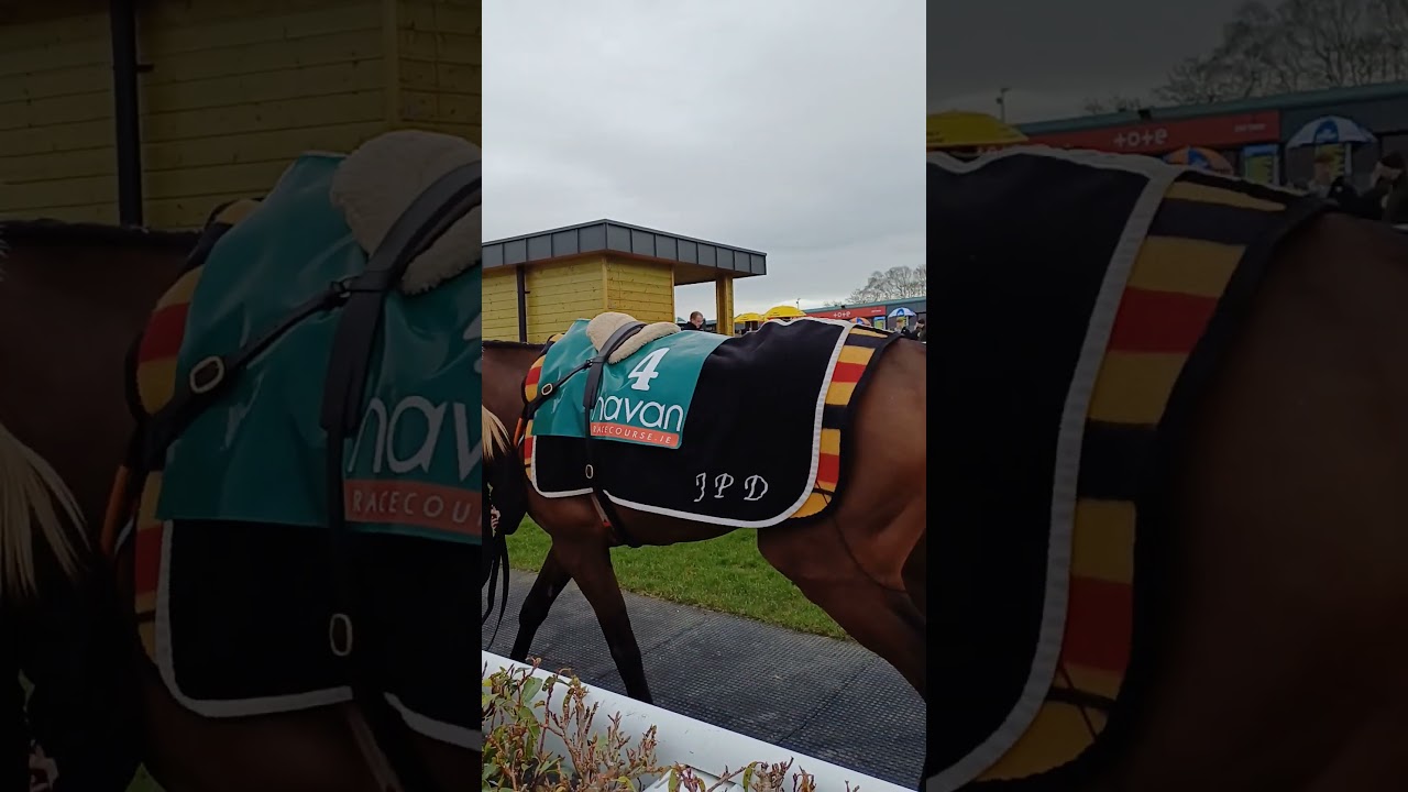 Navan Racecourse 1st March 2025, horses parading for first race.