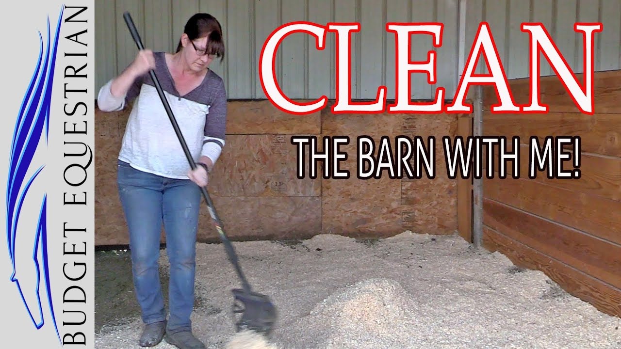 Cleaning Motivation | Clean With Me | Cleaning The Barn