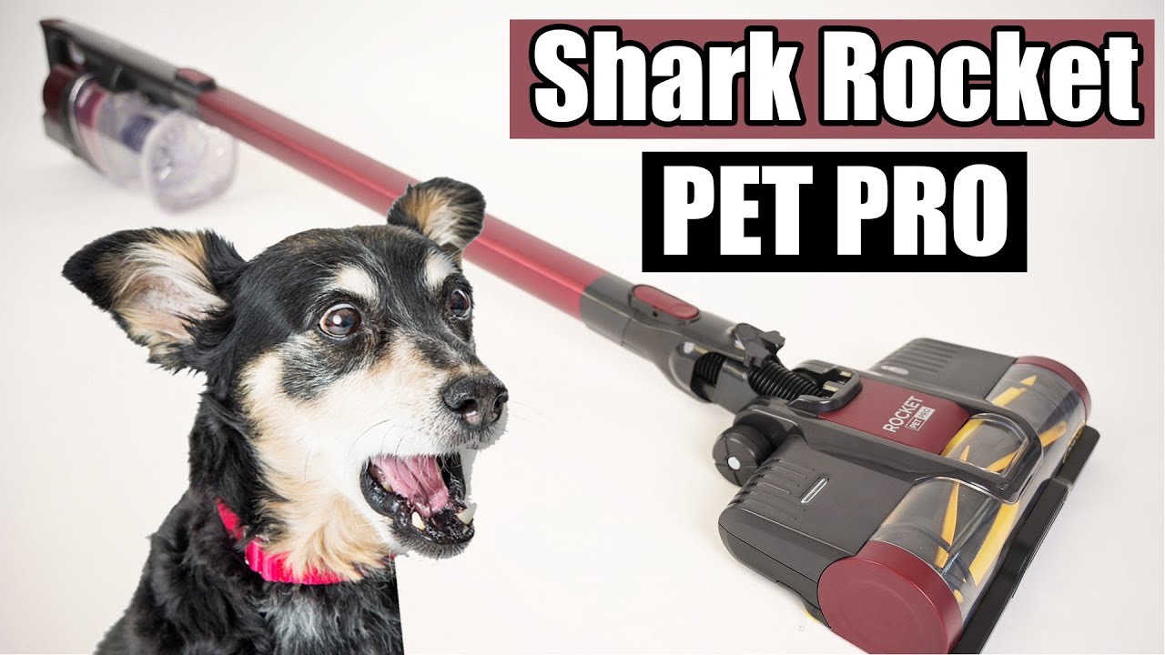 The ULTIMATE Pet Hair SLAYER!! - Shark Rocket PET PRO Cordless Stick Vacuum