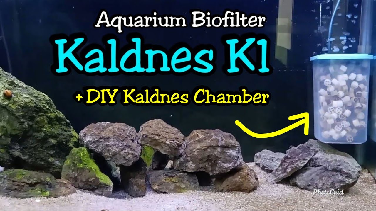 Kaldnes K1 - Биологические фильтры для аквариумов и рыбных прудов