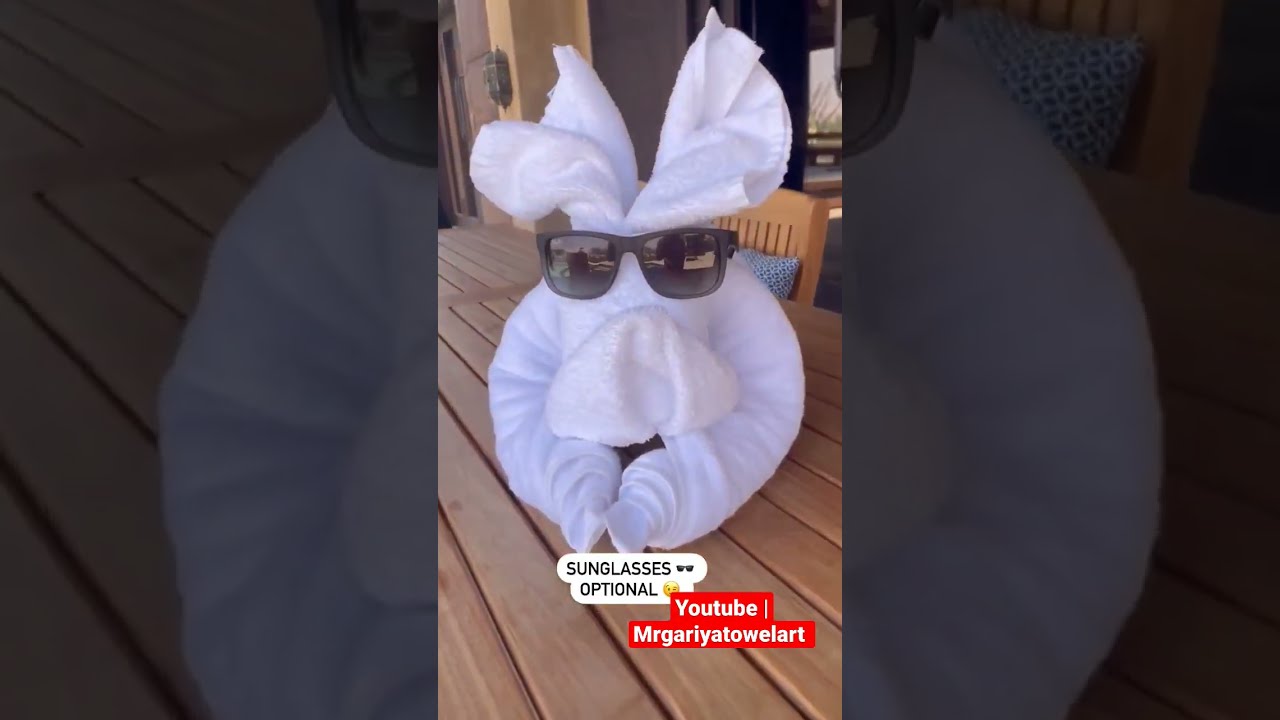 amazing dog towel art folding design | dog towel art