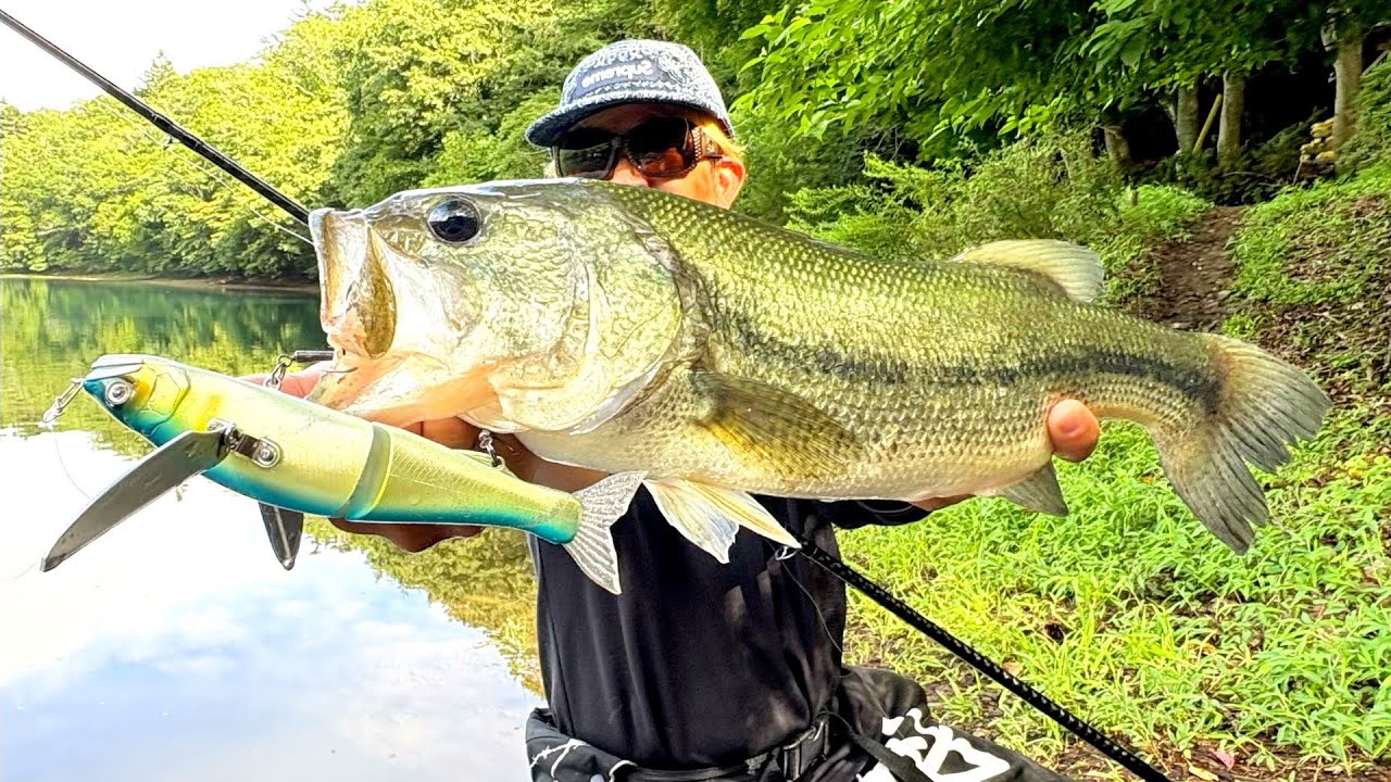 このルアーまじでレベチで魚釣れるんだけど！