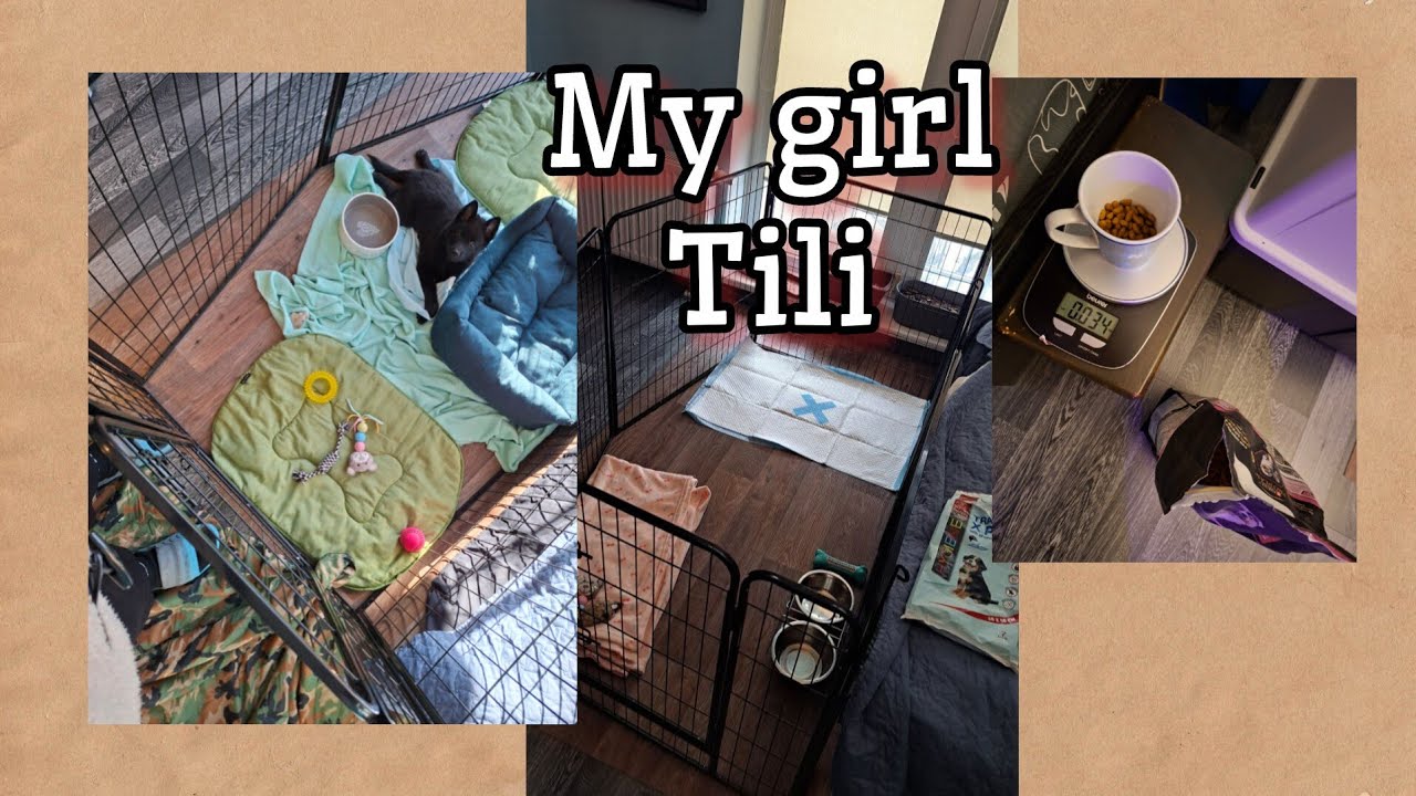 My new girl Tili