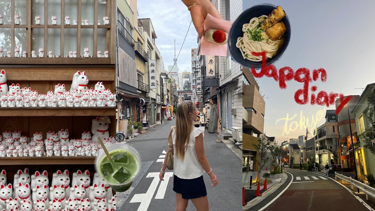Tokyo vlog | Tempel, Mt Fuji & ganz viel shoppen 🗼🏙️⛰️