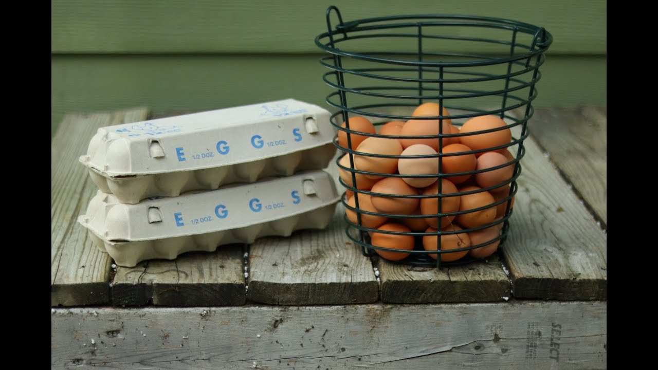 Can You Make Money Selling Eggs?