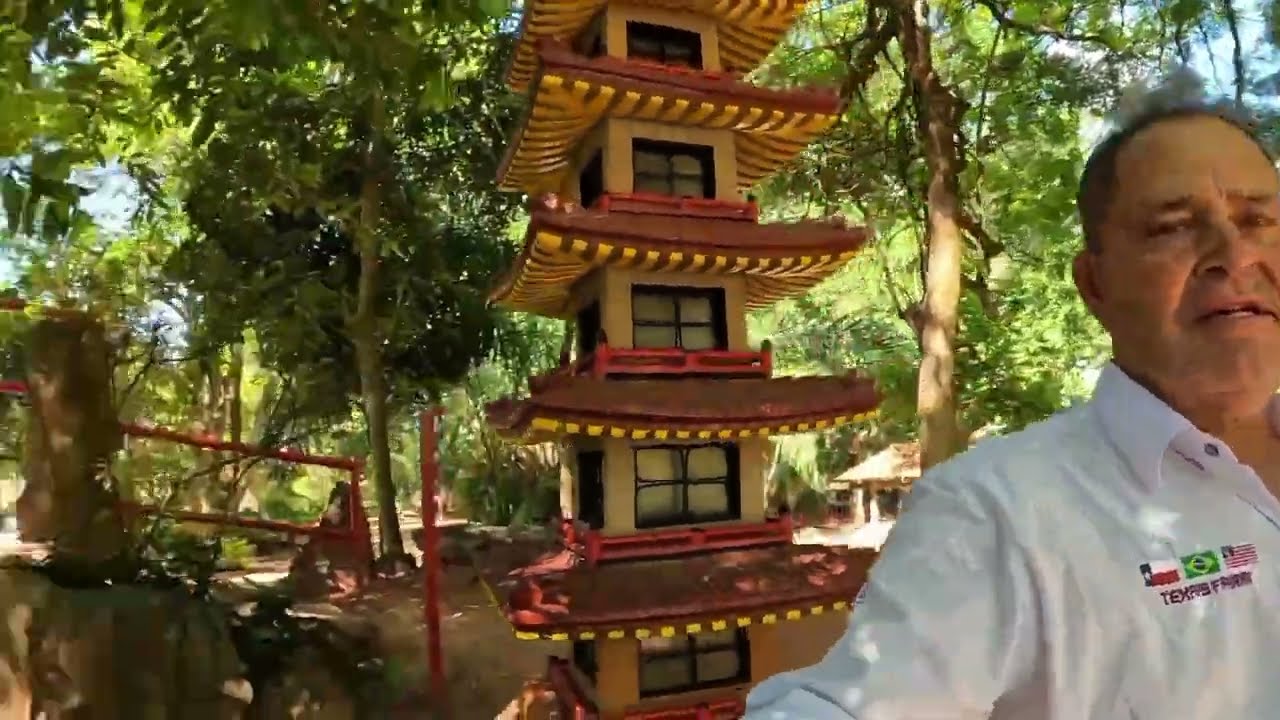 DESTINOS TURÍSTICOS  JARDIM JAPONÊS CALDAS NOVAS GOIÁS @trwbusdestinosturíscos 