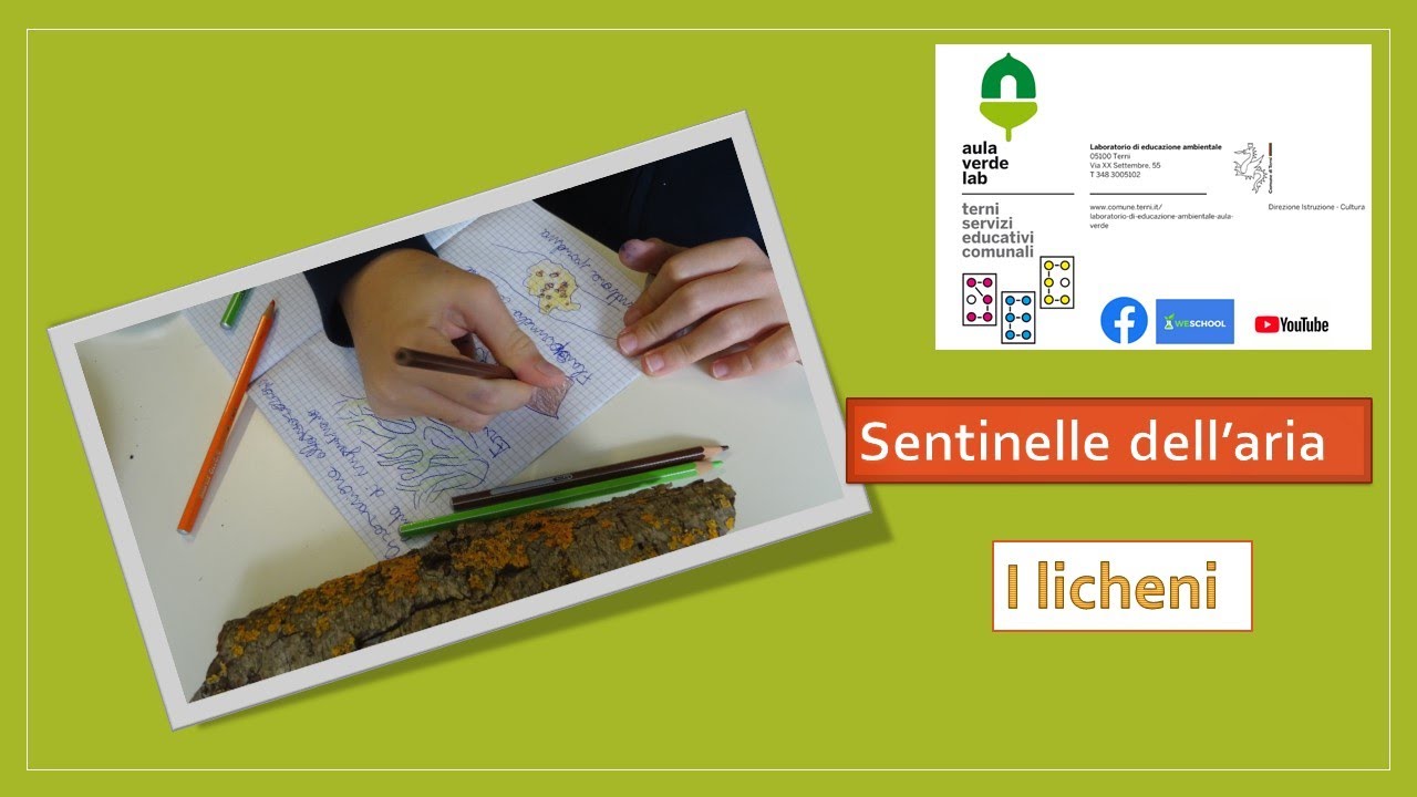 Sentinelle dell' aria - I licheni Prima Parte - da 11 anni
