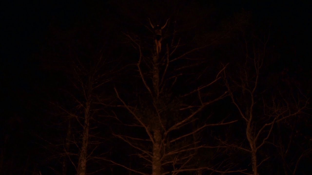 Deadly Oak - In the Big Grief (demo)