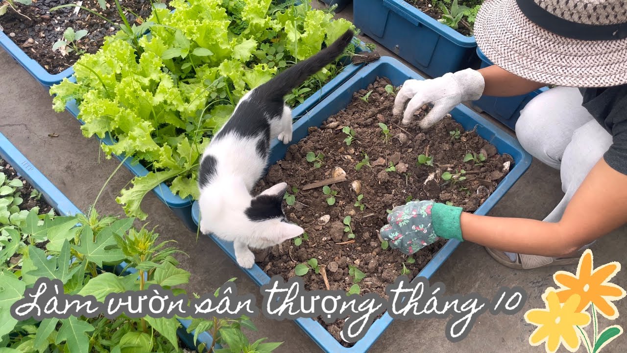 135. Подготовка почвы для посадки капусты, кольраби и листовых овощей зимой, внесение органически...