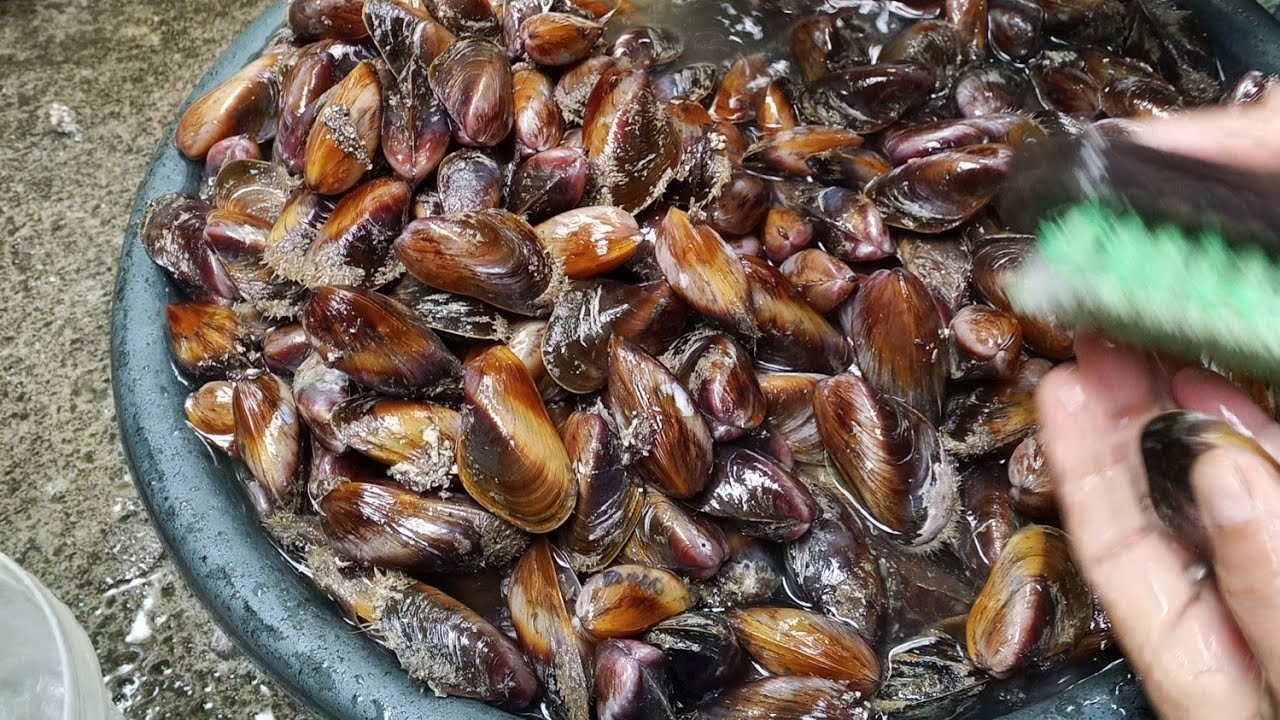 Maparami kain mo pag ganito Ang ulam