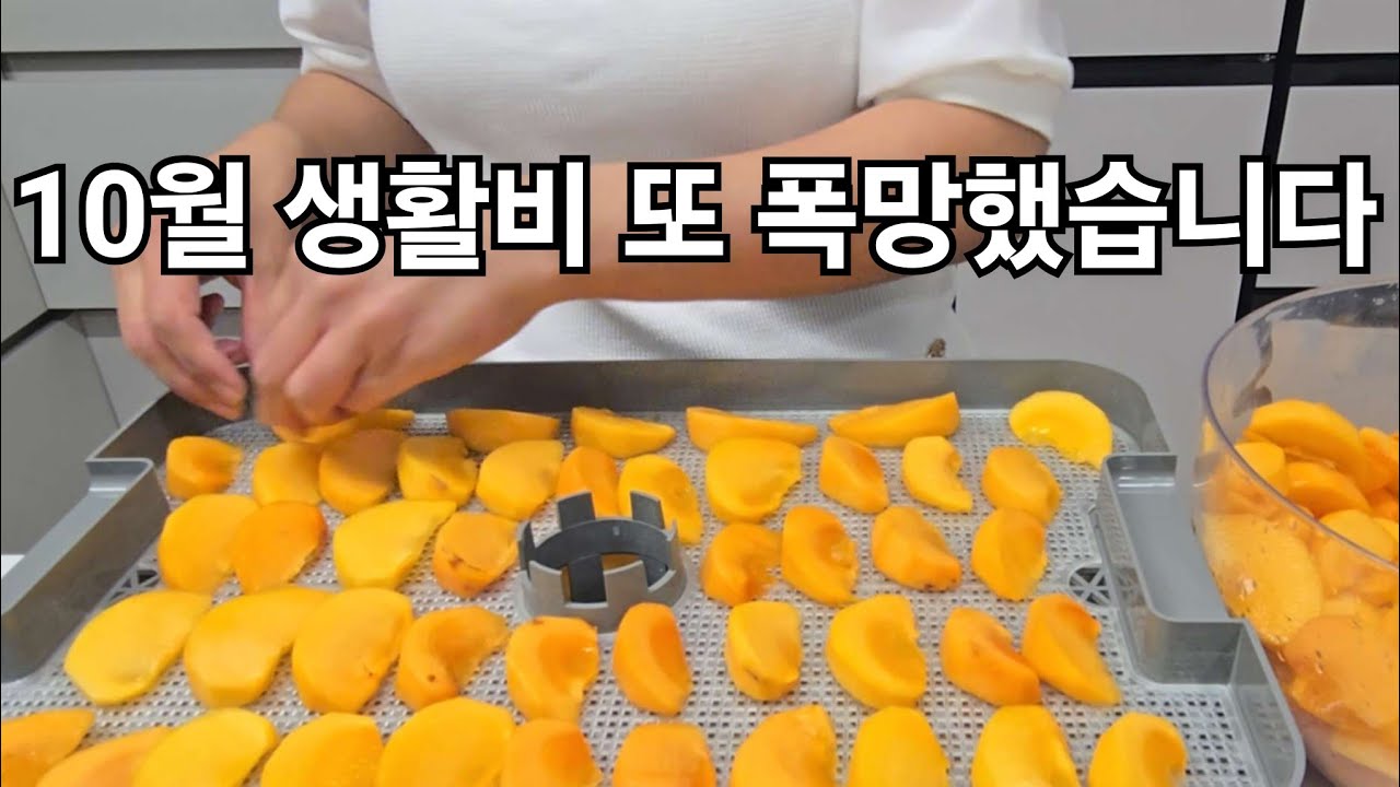 👫고1,고3 남매맘 집밥-일상 vlog |🚨10월 가정경제는 안녕하셨나요??|💥몸테크 5년째.. 대출만기연장 |🌟수확의 계절-고구마농사, 곶감, 감말랭이 만들기 