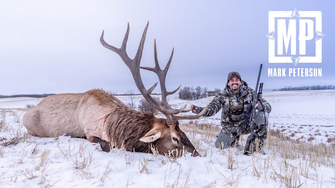 Охота на оленя в конце снежного сезона в Альберте | Mark Peterson Hunting