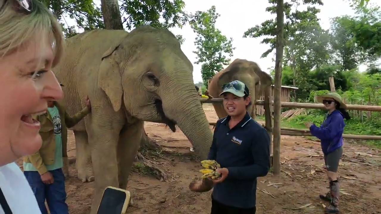 MandaLaos Elephant Conservation   Luang Prabang   Laos May 2024