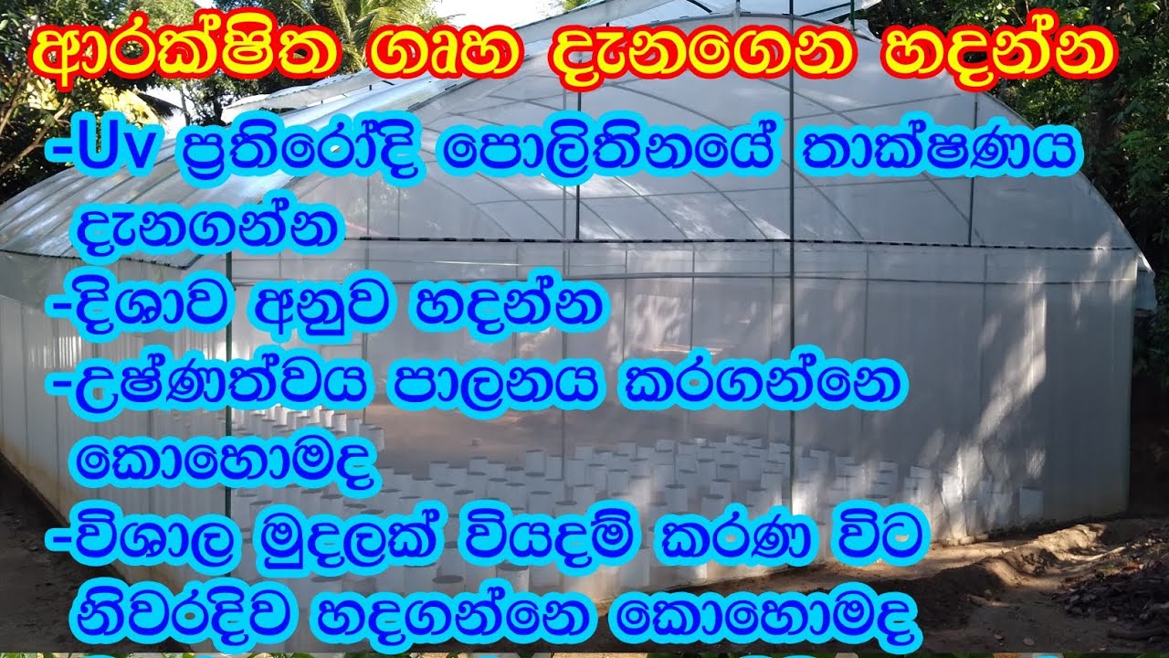 ආරක්ෂිත ගෘහ දැනගෙන හදන්න.. 👍නයිමිරිස් වගාව