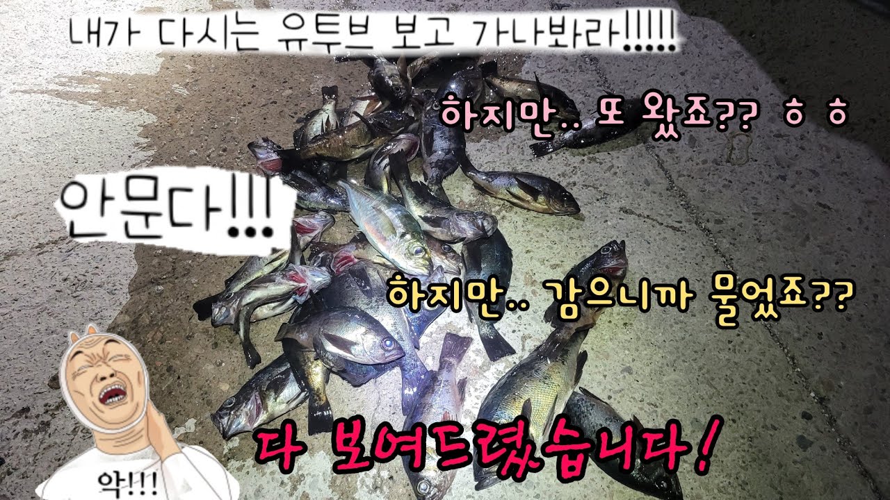 갈때마다 담을데가 없네.. 던지고 감기만 하면  3시간 짬낚에도 넘쳐서 옆사람 두레박에 채워야하는 신나는 볼락낚시!!