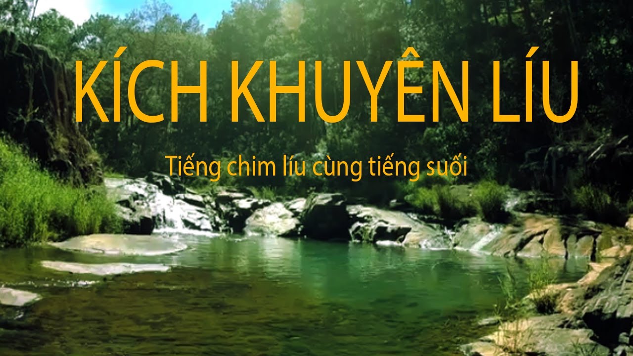 KÍCH KHUYÊN LÍU CHUẨN . Tiếng suối cùng tiếng chim khuyên líu