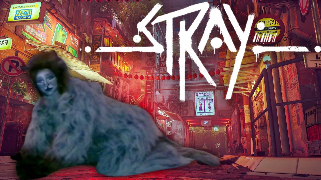 DRESSING UP LIKE A GIANT CAT (Stray PART 2)