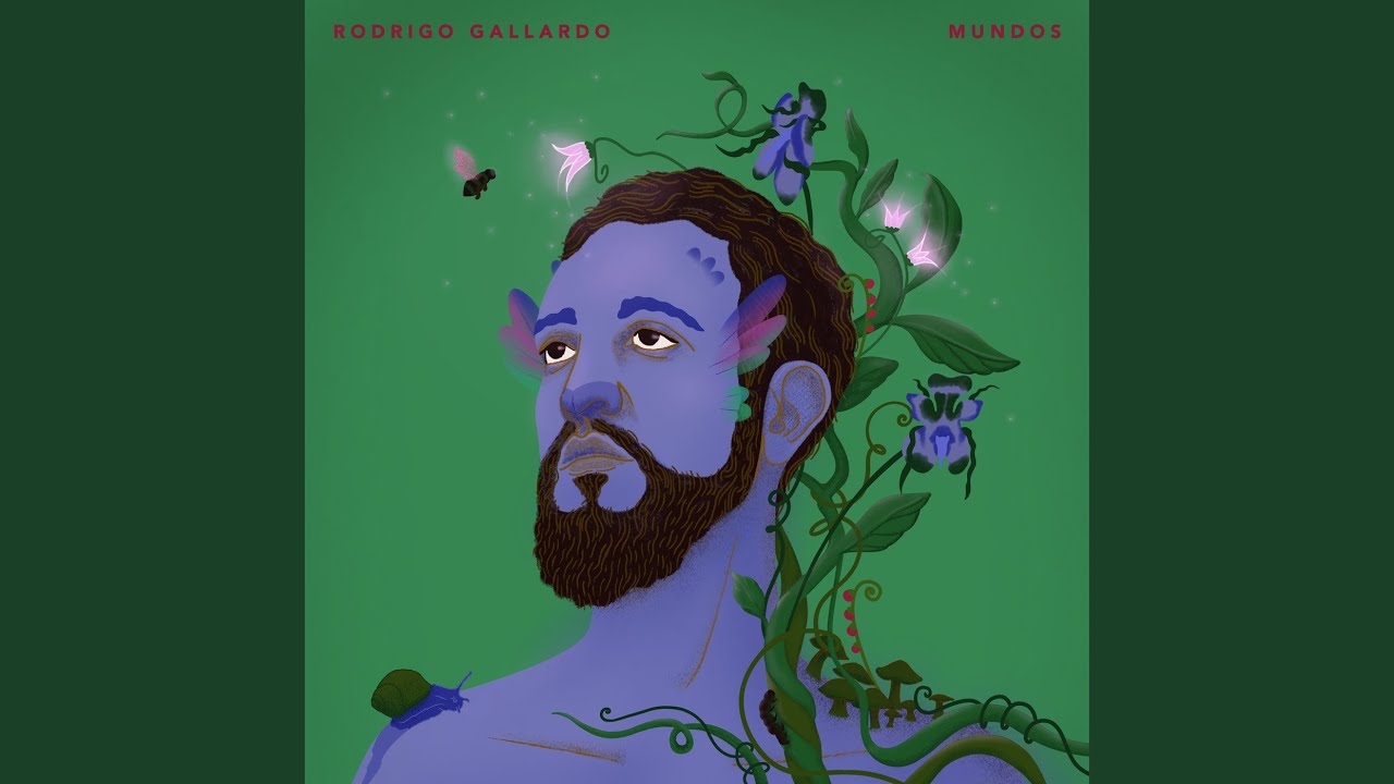 Colibrí