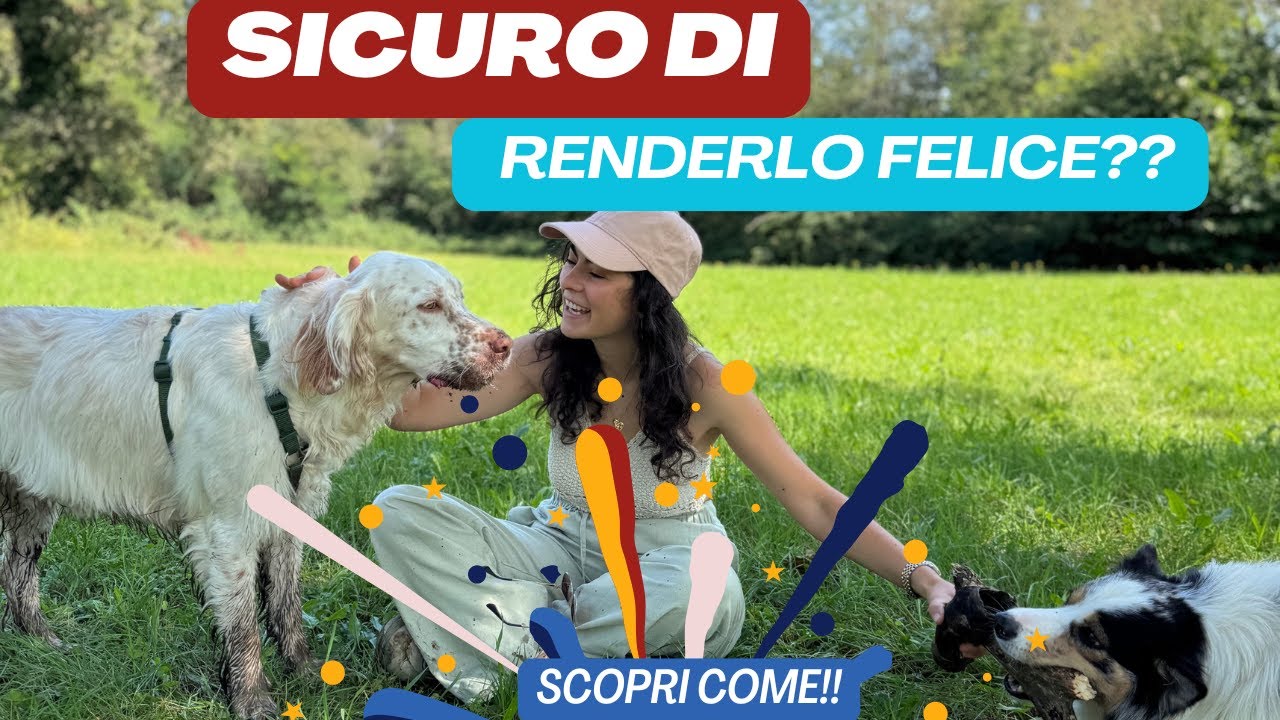 Sei sicuro che il tuo cane sia FELICE? fai queste 3 cose