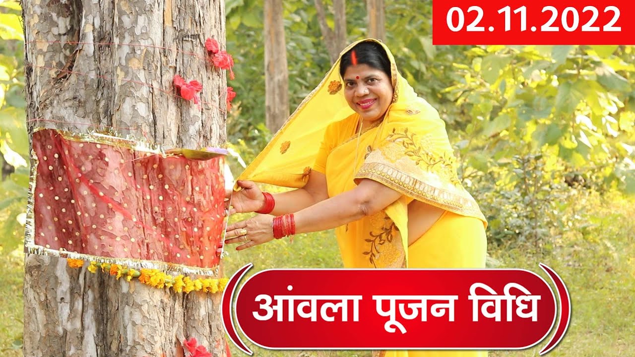 आमला नवमी के दिन ऐसे करें पूजन। Amla Navmi Pujan Vidhi