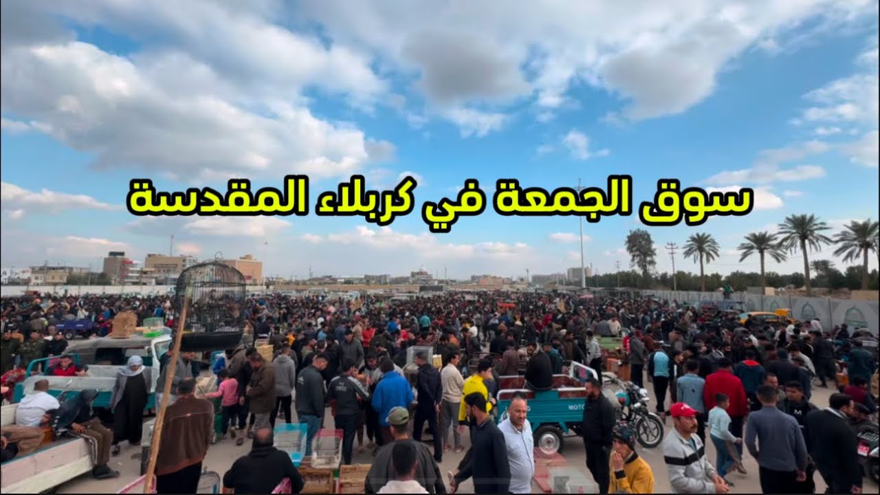سوق الجمعة في كربلاء المقدسة ( كراج سيد جودة ) اسعار الطيور والحيوانات والاقفاص ومستلزمات الطيور
