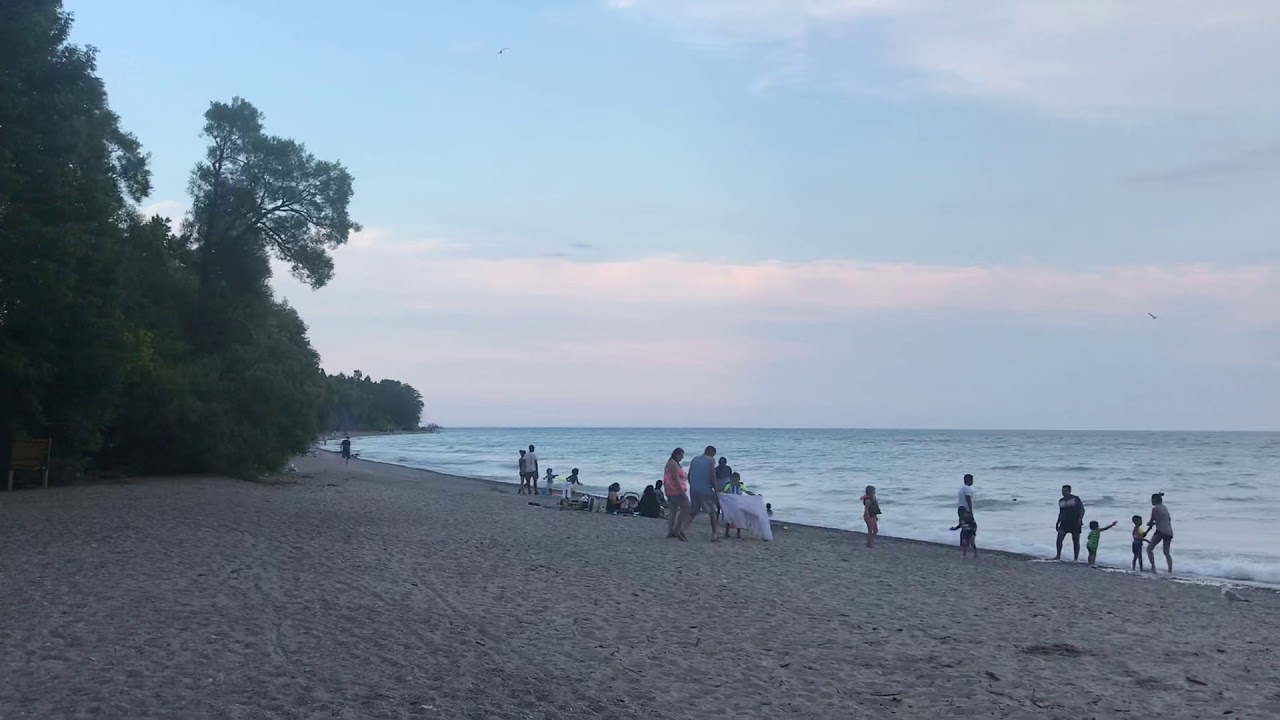 #TorontoDiary
