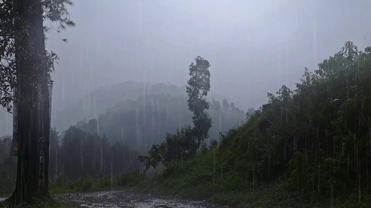 Deep Sleep Rain Ambience – Calming Background Sound
