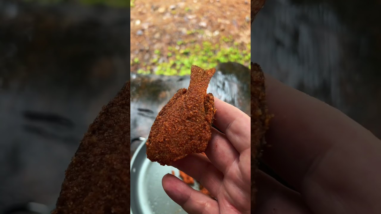 A LITTLE fish fry #cooking #fishing #outdoors