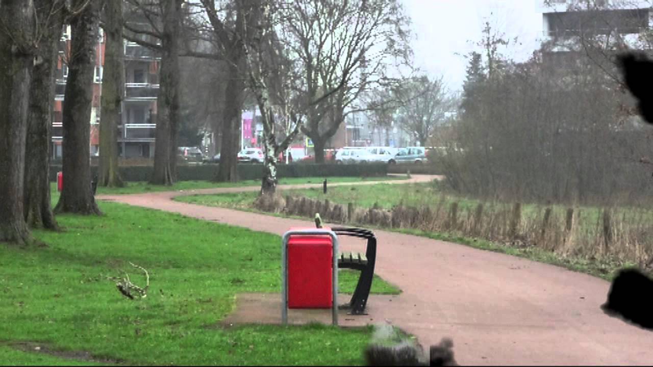 GELDROP IN TOUR MPEG 4