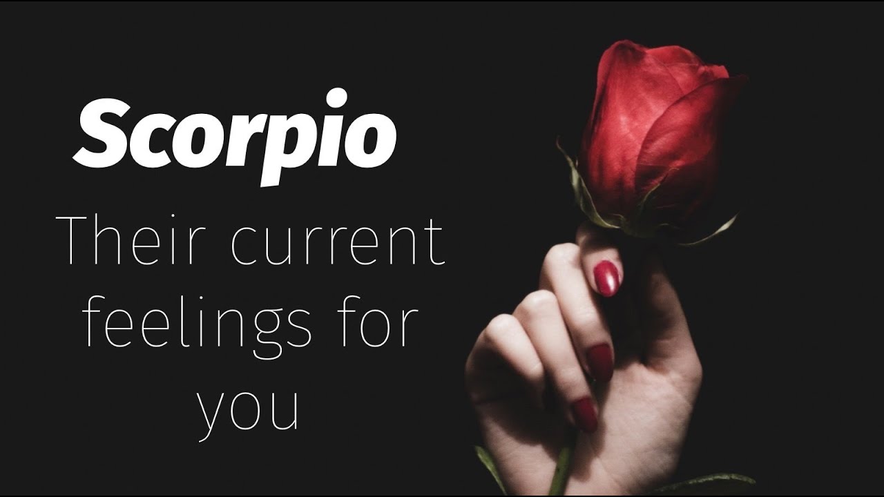 ❤️Scorpio February 2022❤️ - Their current feelings for you (Tarot Reading)❤️