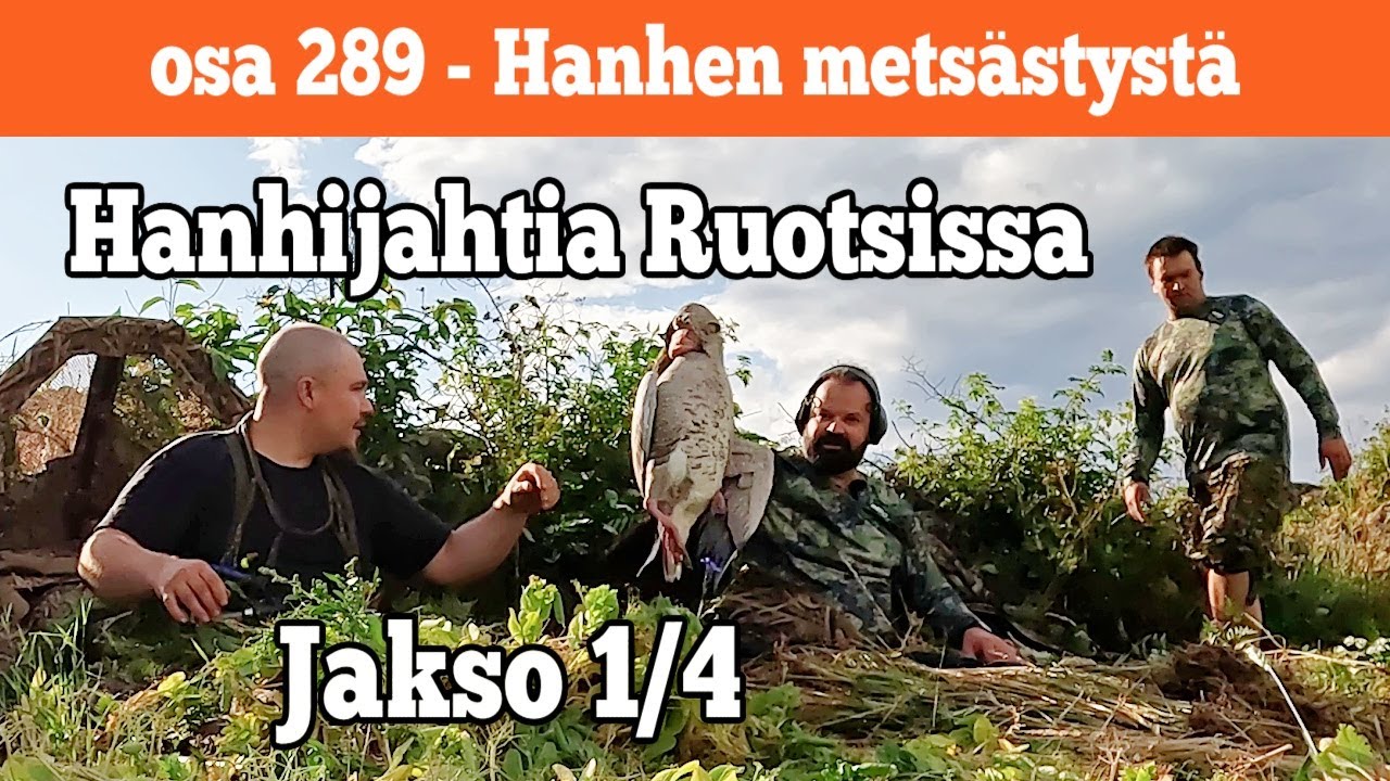 Osa 289 - Hanhen mets&auml;styst&auml; Ruotsissa - Jakso 1/4 - 2022/2023