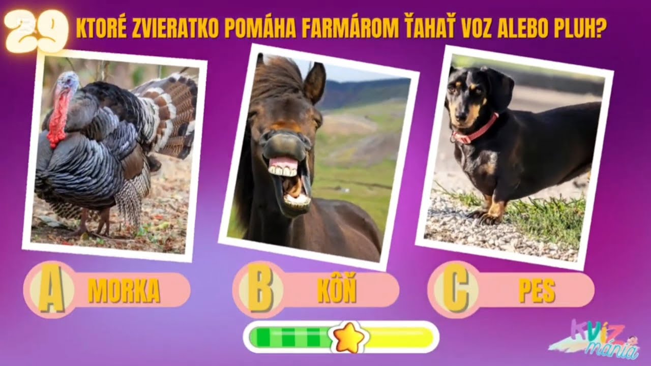 FARMA! 30 zábavných a logických otázok o živote na farme. Najlepší Kvíz a hádanky pre každého.