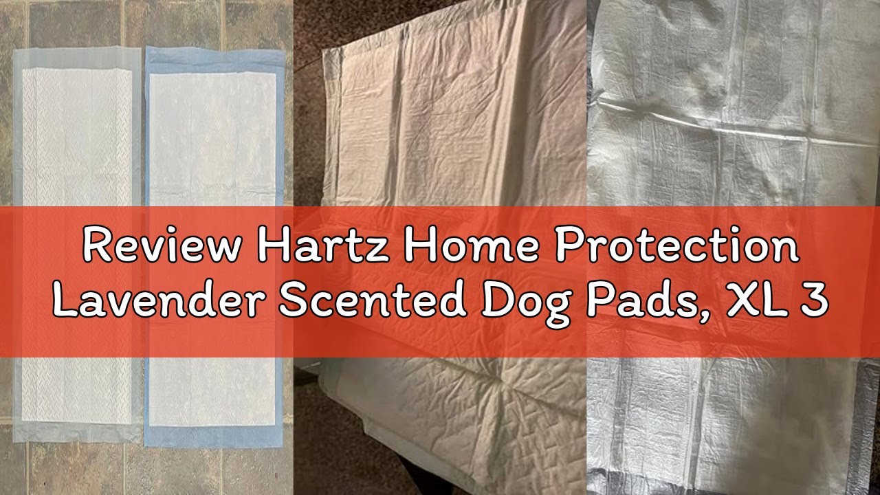 Review Hartz Home Protection Lavender Scented Dog Pads, XL 30 count, Super Absorbent & Won't Leak, O