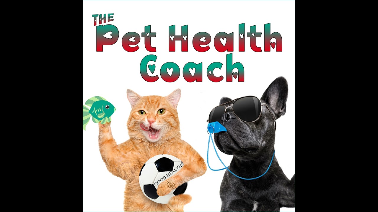 The Pet Health Coach Episode 14 A Pet Parent&rsquo;s Path to The Perfect Diet