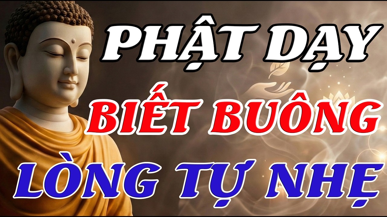 Phật Dạy: Sống An Hay Khổ Đều Từ Tâm – Khi Biết Buông, Lòng Tự Nhẹ - Tâm An Vạn Sự An