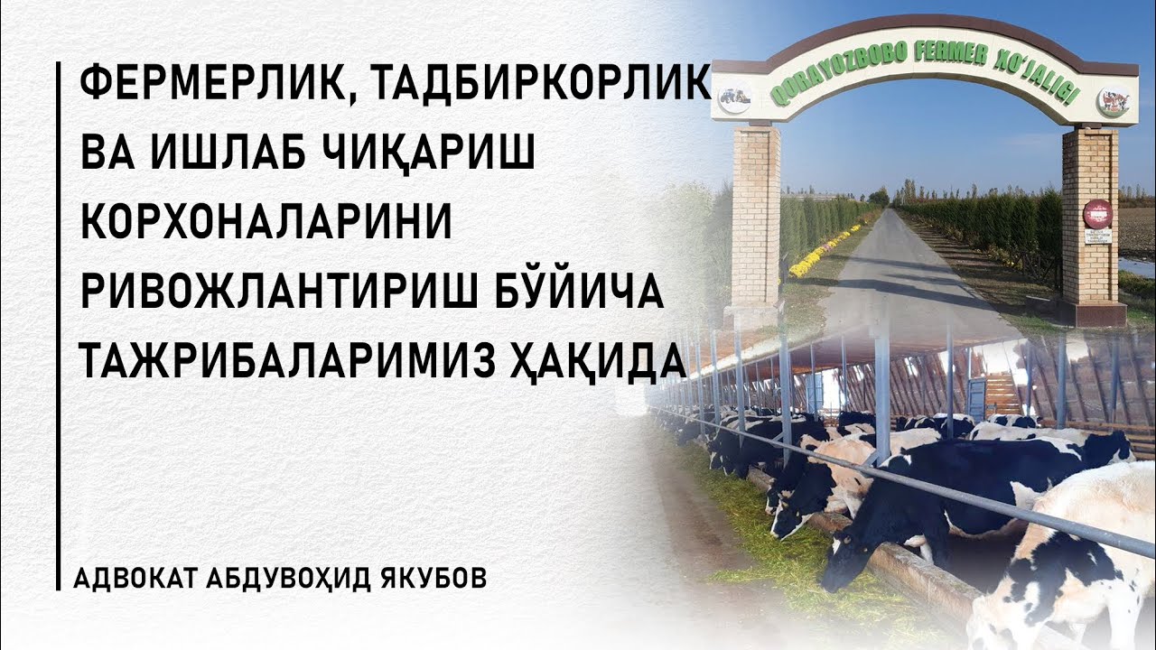 Фермерлик, тадбиркорлик ва ишлаб чиқариш корхоналарини ривожлантириш бўйича тажрибаларимиз ҳақида