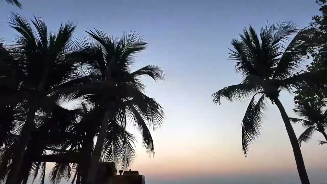 Thailand. Jomtien Night Market, grabbing food and eating it home [Twitch VOD 16.1.26]