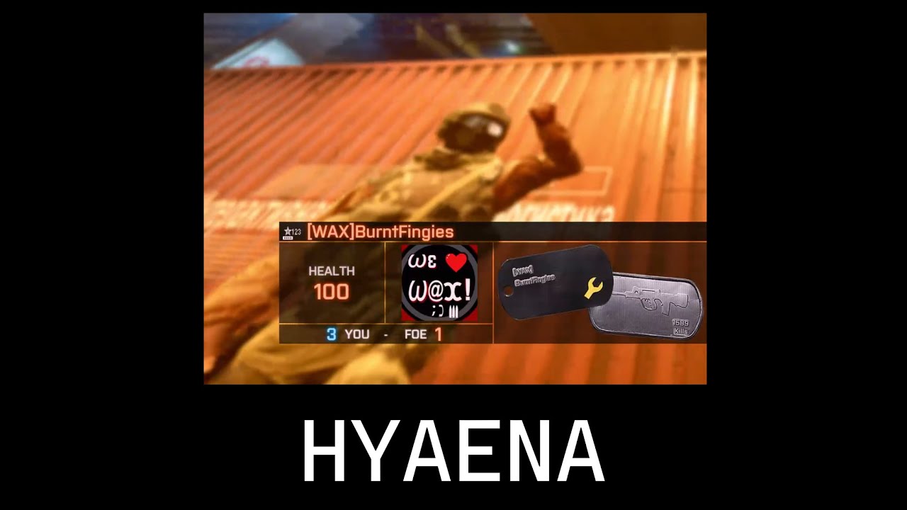 HYAENA - BF4 Montage