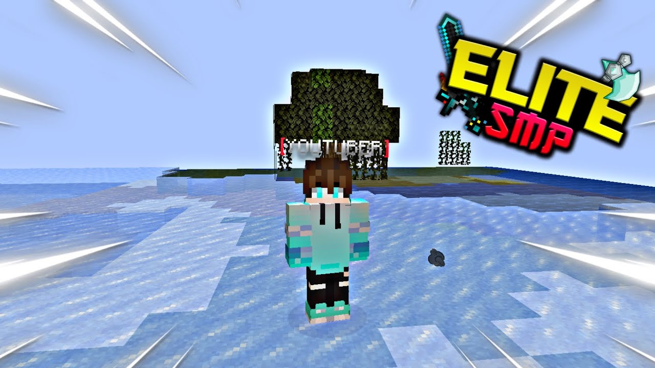 I JOINED FAKE ELITE SMP