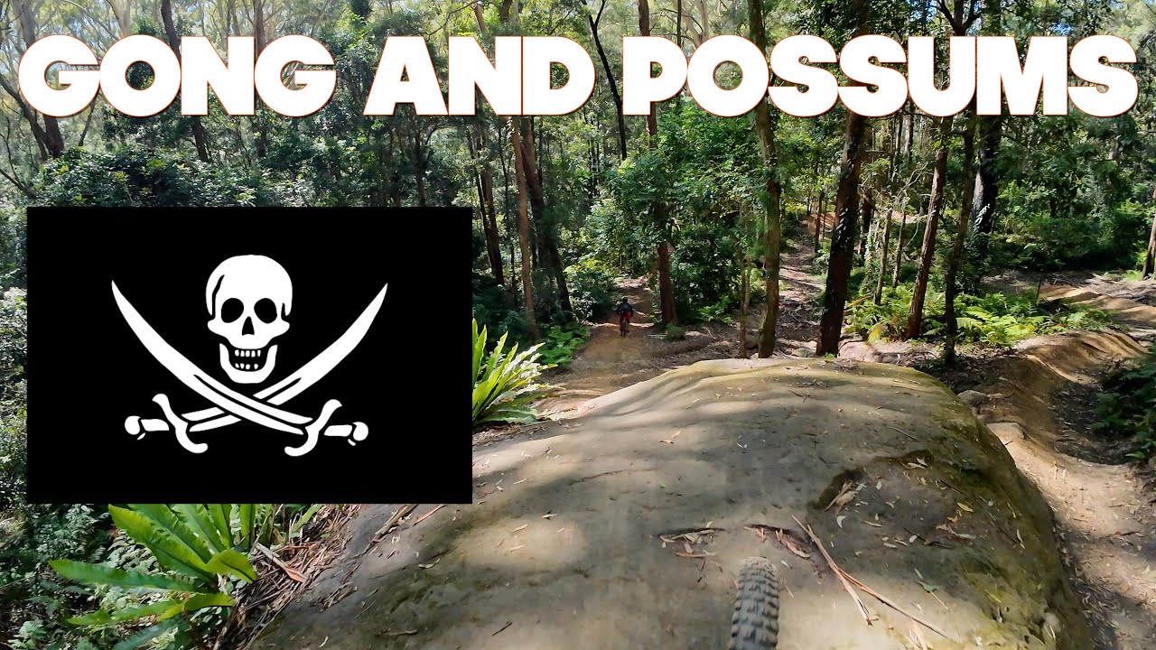 Possums and Wollongong Pirate Trails