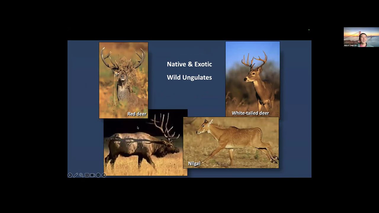9 27 24  Bite sized Genomics Decoding Tick Population Genetics
