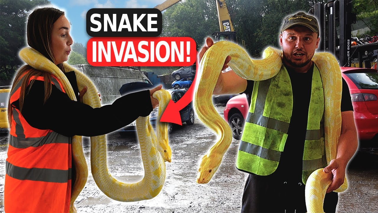 This is the CRAZIEST Thing Ever Brought to Our Scrap Yard!