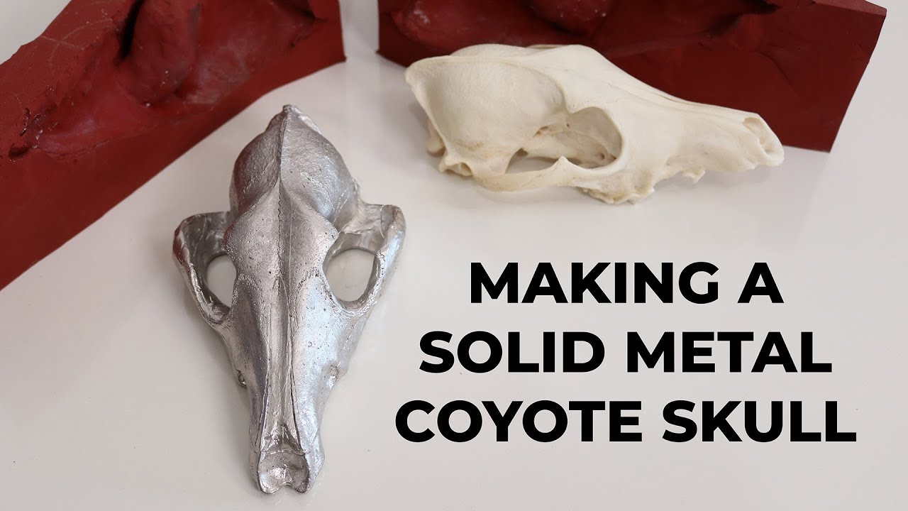 Making a Solid Metal Coyote Skull | Casting Molten Tin