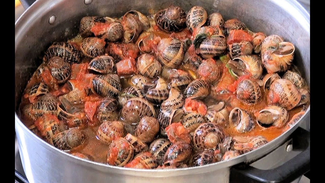 Caracoles guisados Vídeo receta 17 aqui cocinamos todos Cooking recipe