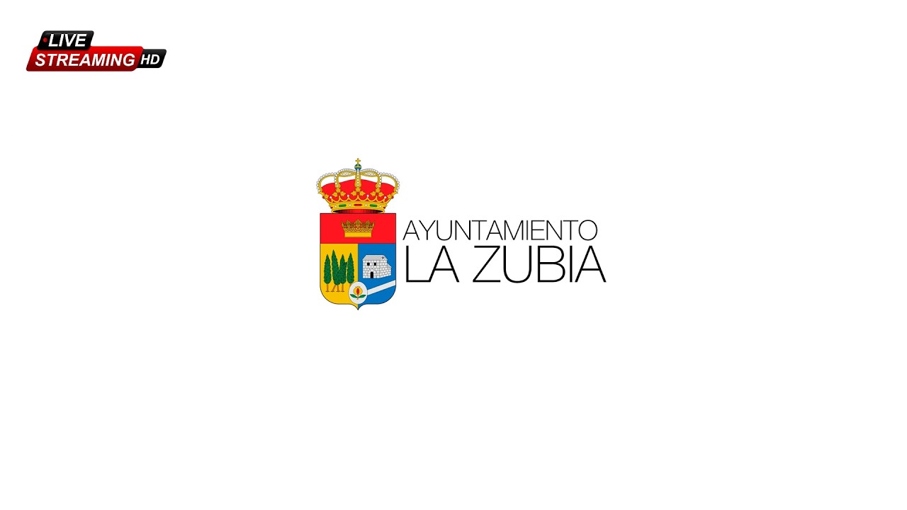 Pleno Ordinario 26-02-2026