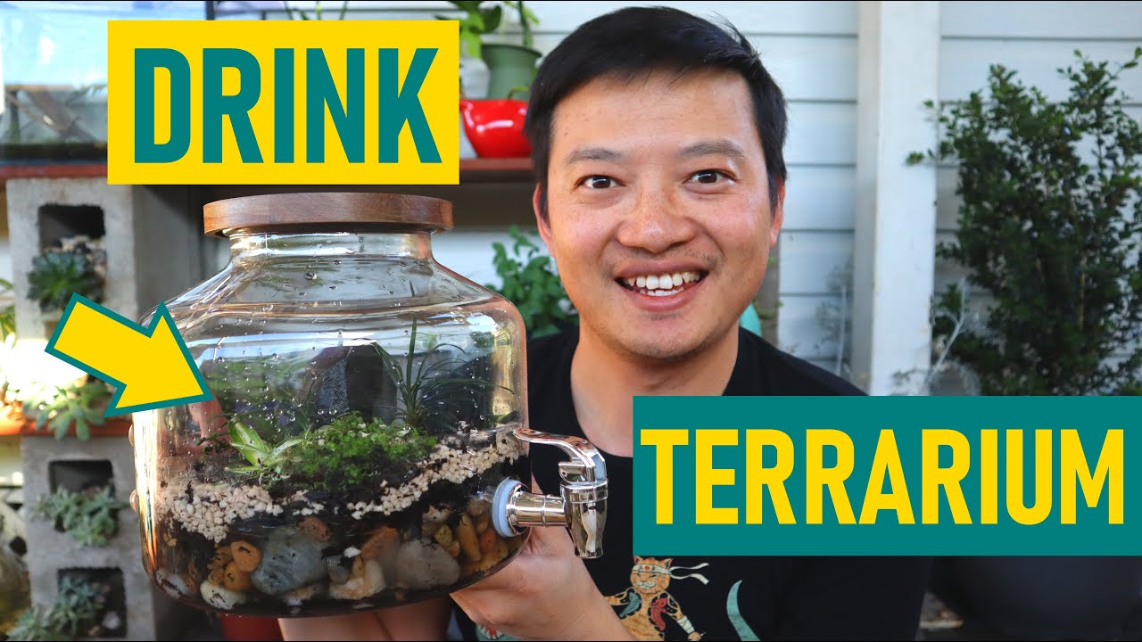 Easy To Build, DRINK Dispensing TERRARIUM!